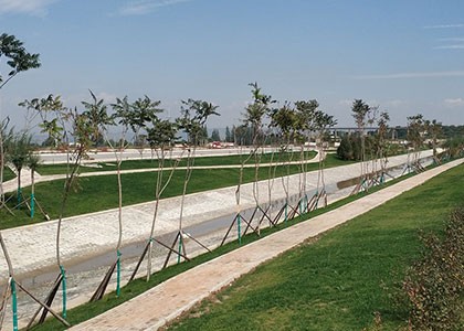 电竞投注平台app