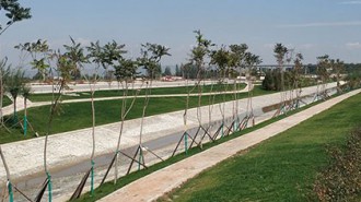 电竞投注平台app